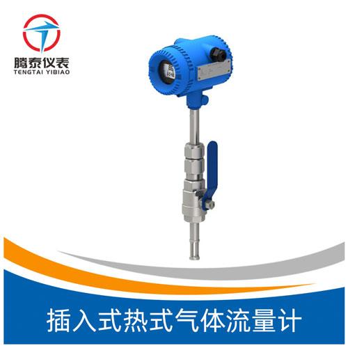 <b>插入式熱式氣體流量計</b> <b>插入式熱式氣體流量計</b>