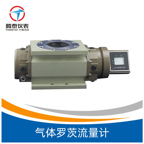 <b>氣體羅茨流量計</b> <b>氣體羅茨流量計</b>