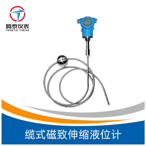 <b>纜式磁致伸縮液位計</b> <b>纜式磁致伸縮液位計</b>